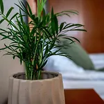 Lagoja فندق مبيت وإفطار 3*