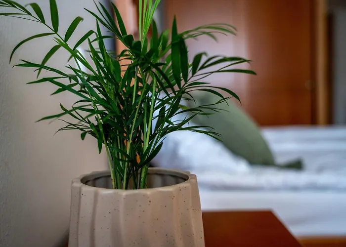 Lagoja فندق مبيت وإفطار 3*